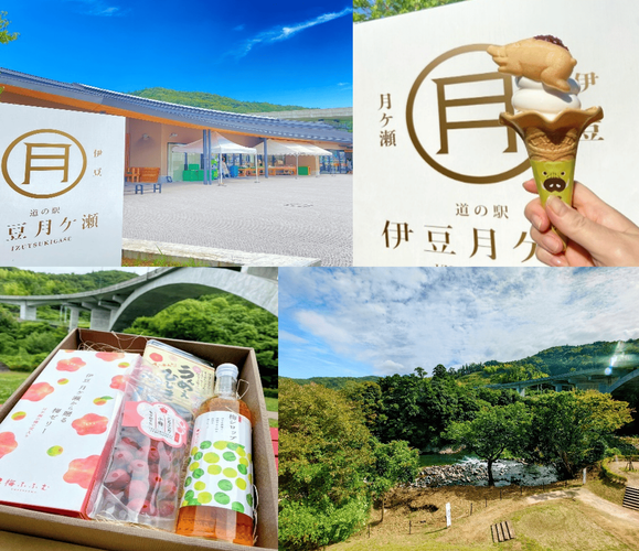 道の駅伊豆月ケ瀬について