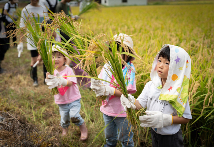 稲刈りに参加する子供たち