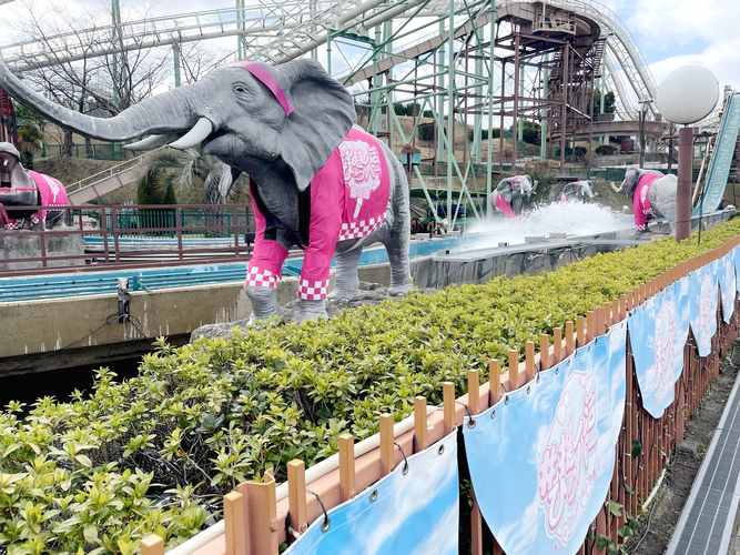 「推しへの愛を叫バッシュ！～絶叫さえ愛に変わる～」の様子