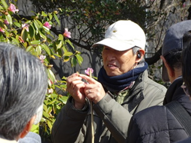 過去の「野草ウォッチング」の様子