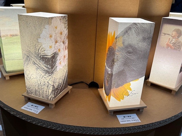 前年度出展灯篭作品「花mal」