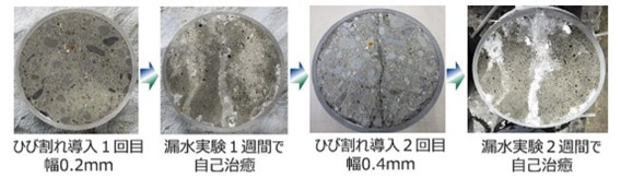写真1：ひび割れの自己治癒状況