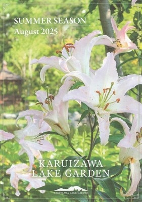サマーシーズンフライヤー2025