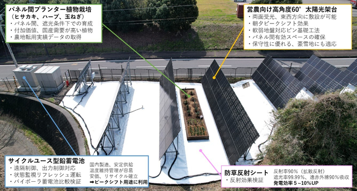 写真1:牧之原市営農型太陽光発電所 兼 実証フィールド