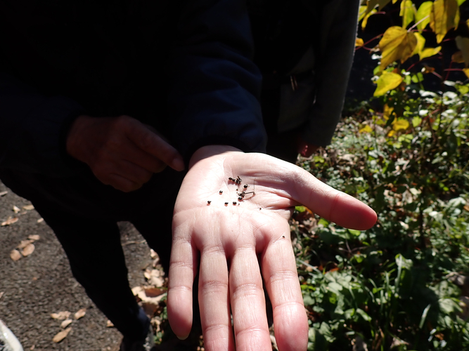 過去のイベントの様子