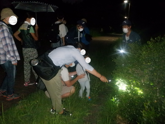 ナイトツアーの様子①