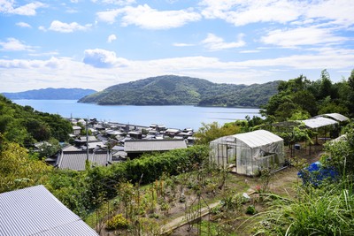 海も山も