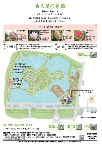 サマーシーズン2026 香の情報
