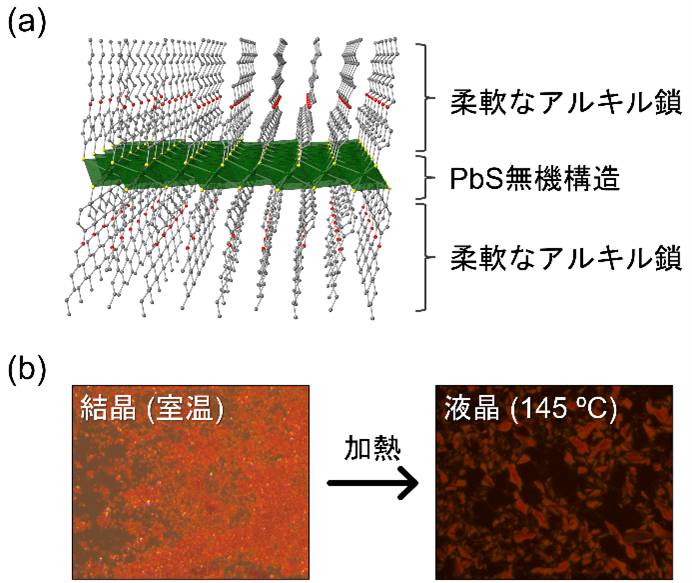 図1:KGF-34(C6)の結晶構造(a)と相転移挙動(b)