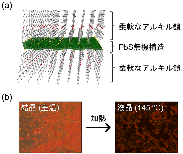 図1：KGF-34（C6）の結晶構造（a）と相転移挙動（b）