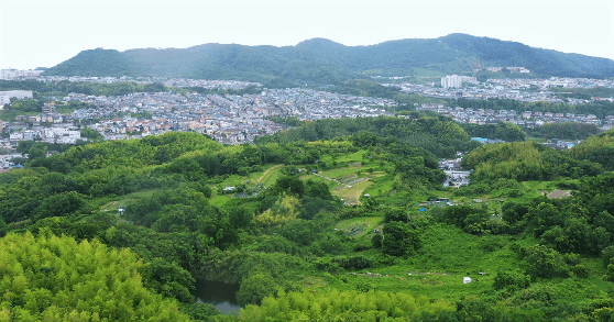 多井畑西地区