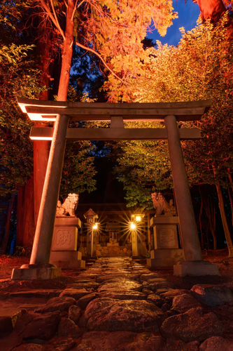 境内ライトアップ