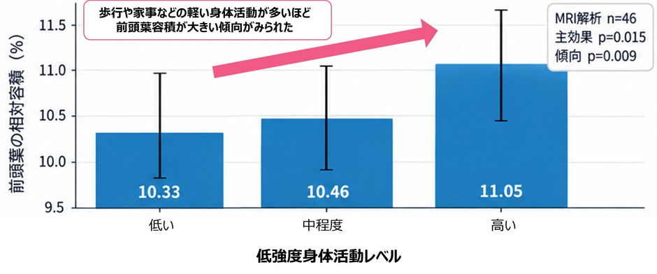 前頭葉の容積と低強度身体活動レベルの関連