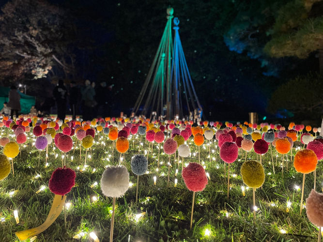 ぽんぽんマムの庭