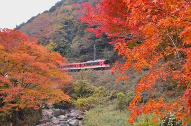 嵯峨野観光鉄道・叡山電鉄「京都もみじ鉄道 連携協定」 実施企画 第 3 弾を実施します