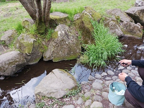 「ザリガニ釣り体験（イメージ）」