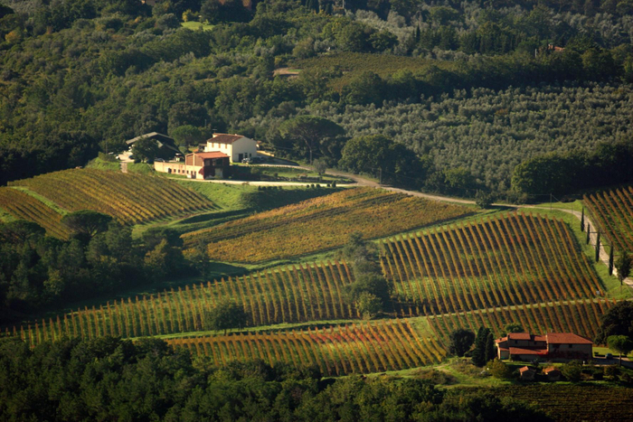 ワイナリーより