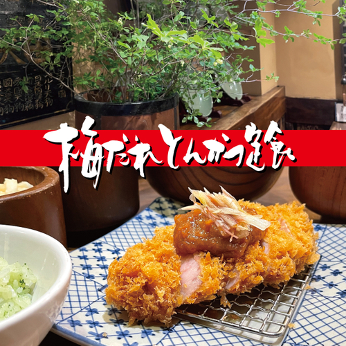 夏季限定「梅だれとんかつ定食」