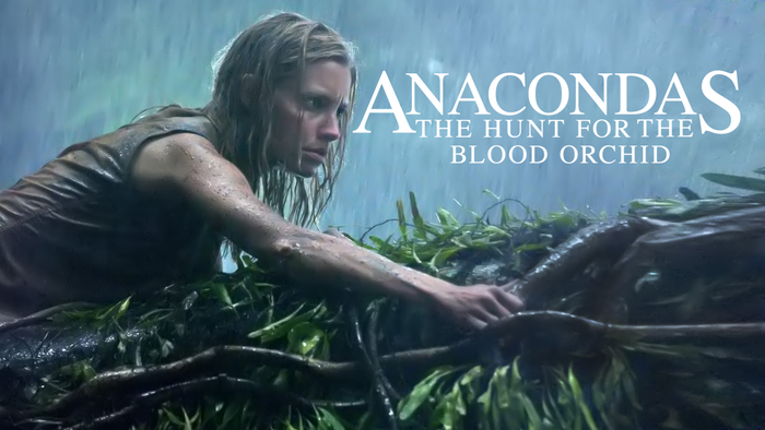 &copy; 2004 Screen Gems, Inc. All Rights Reserved.