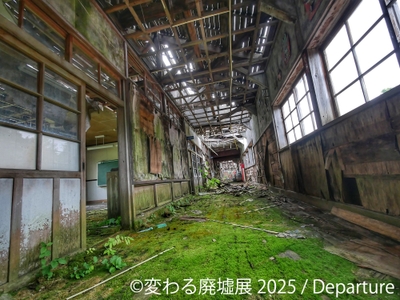 展示作品(6)