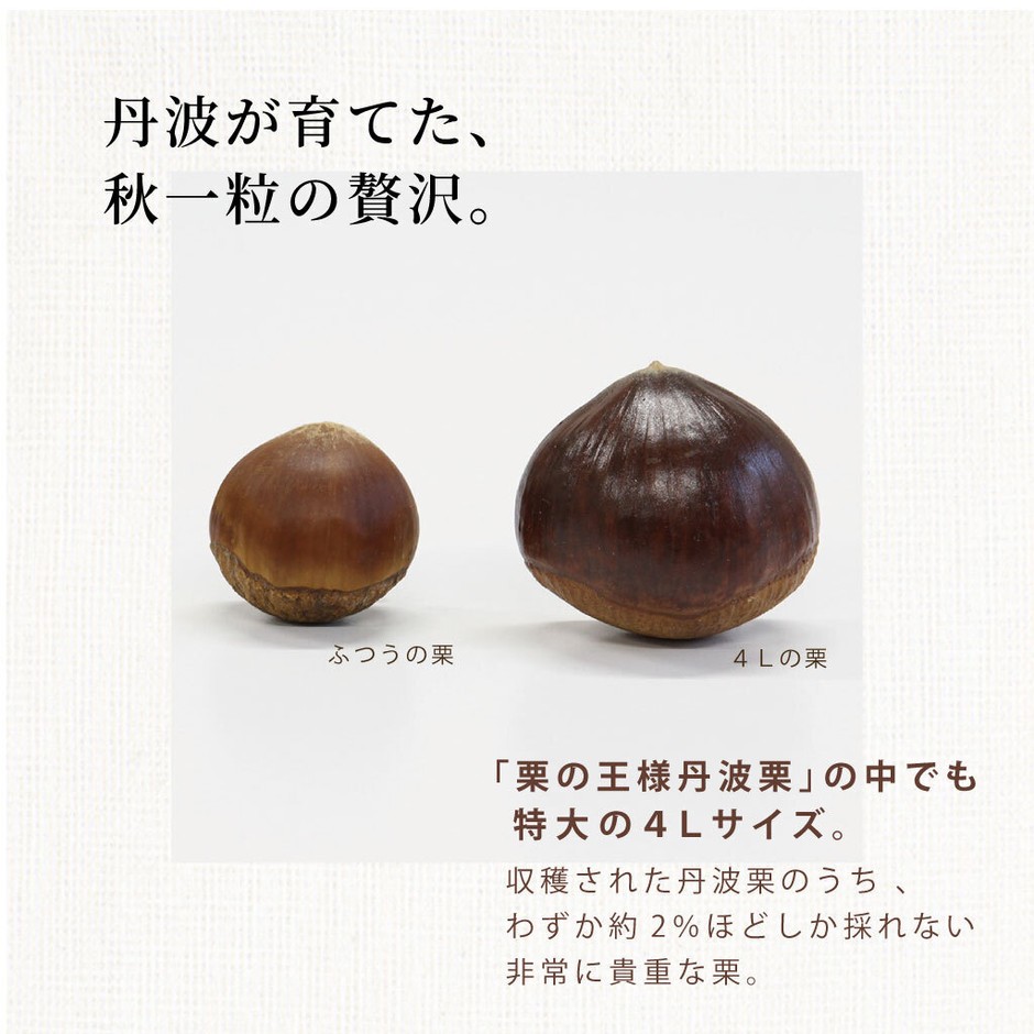 希少な4Lサイズの特大丹波栗を使用
