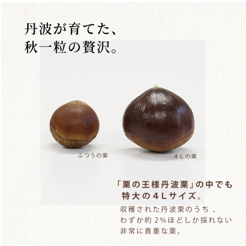希少な4Lサイズの特大丹波栗を使用
