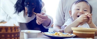 「同じ釜の飯を食う」ことで深まる”家族”の絆。ヒトとワンコがシェアして食べられる無添加おやつとごはんを製造販売する「ワンズデイリー」設立