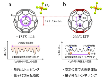 図2　C60ケージに閉じ込めた1個のリチウムイオンの運動の温度変化　a：100K（-173℃）以上の高温、b：40K（-233℃）以下の低温