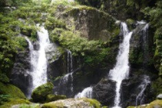 小さな渓谷の中の滝壺に落ちる「轟の滝」