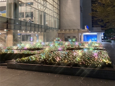 【けやき通り側 植栽画像】