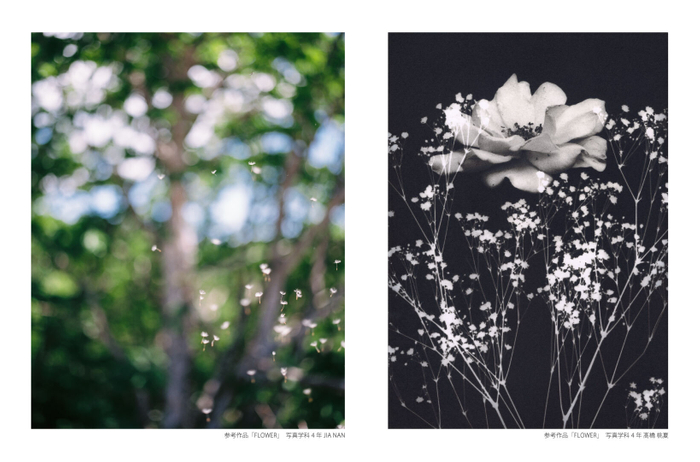 共同写真展参考作品「FLOWER」左：写真学科4年 JIA NAN、右：写真学科4年 髙橋 桃夏