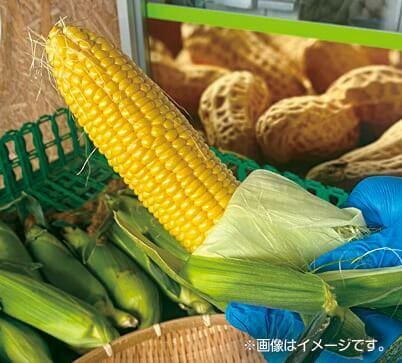 とうもろこし早むき大会(7/4(土)～計3回)