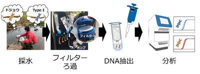 環境DNA分析