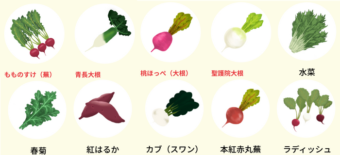主な販売品目