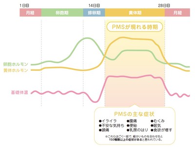 図1:PMSが現れる時期と主な症状