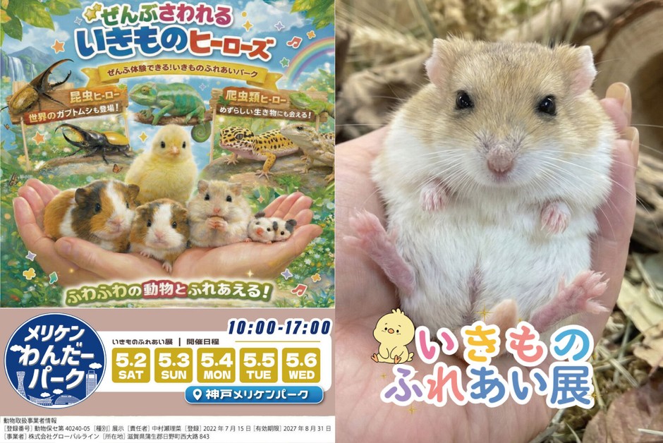 いきものふれあい展