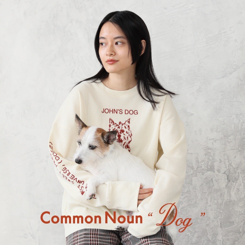 Common Noun
