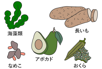 ヤセ菌を育てる