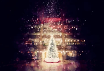 The Landmark Christmas