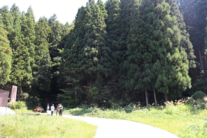 設置場所の周囲にはうっそうとした森が広がります