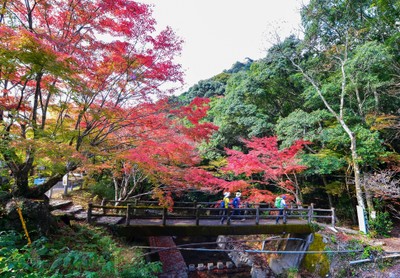 優秀賞「秋の登山道」