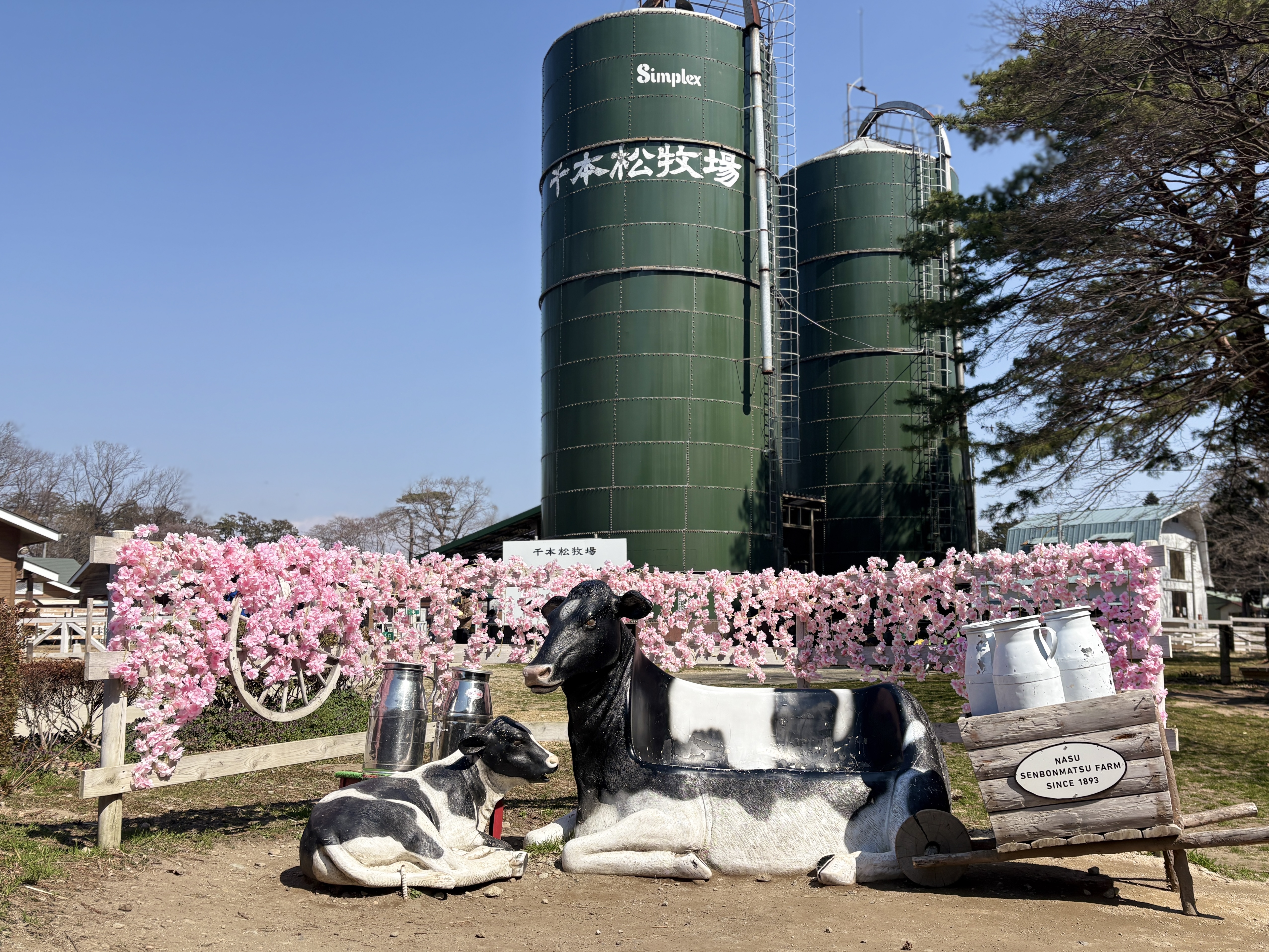 どうぶつふれあい広場