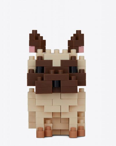 FRENCH BULLDOG_1