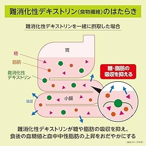 難消化性デキストリンのはたらき