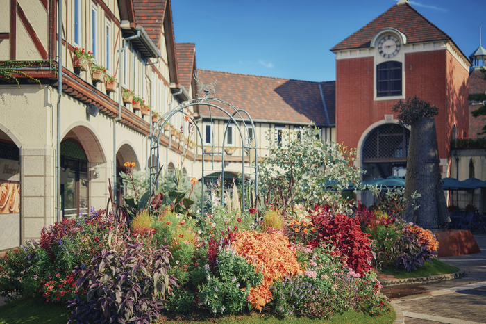 ウェルカムガーデン　秋