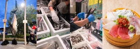 食べて、詰めて、引き上げて、出世魚でゲン担ぎ　 シルバーウィークは漁港の駅TOTOCO小田原で 「出世魚」だらけの「出世魚祭り」開催