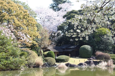 8. 庭園風景