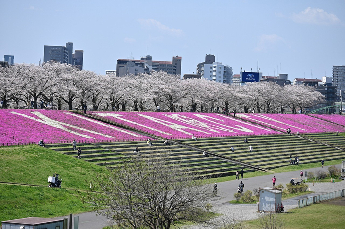 新荒川大橋からの景観（4月3日撮影）