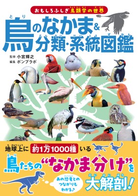 『鳥のなかま&分類・系統図鑑』書影