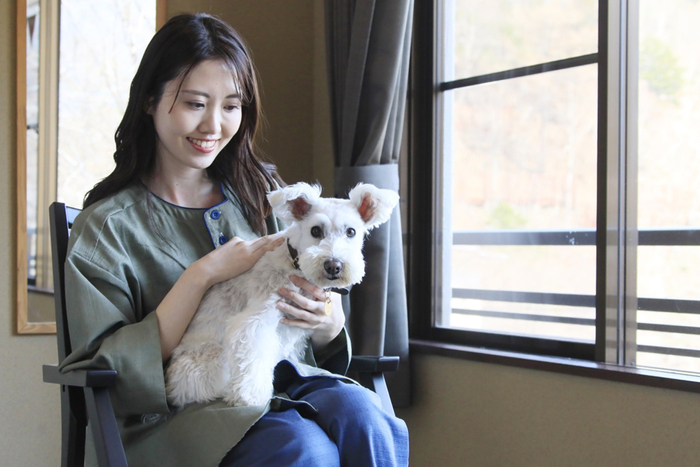 愛犬との旅